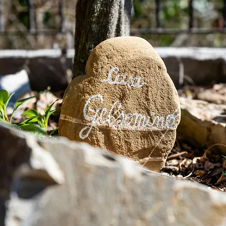 Lägenhet Gelsomino By Interhome Costa d'Oneglia